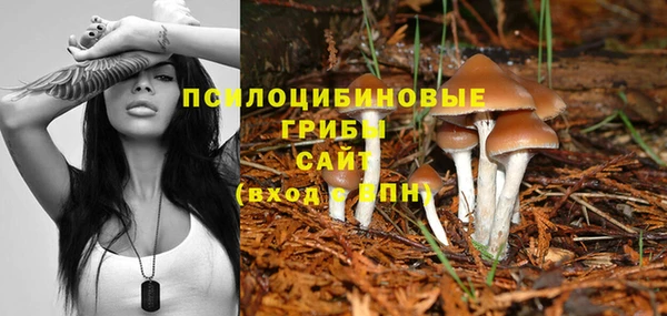 гашиш Арсеньев