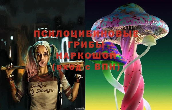 гидра Армянск
