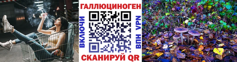 даркнет сайт  Суоярви  Галлюциногенные грибы Psilocybe 